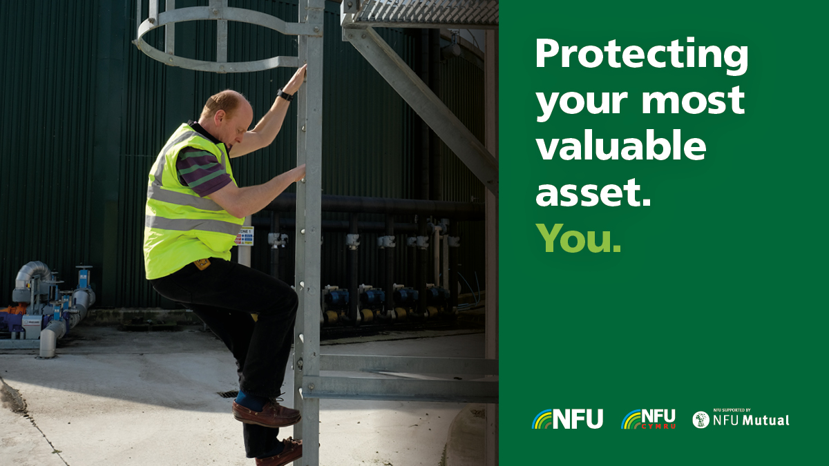 NFUtweets's tweet photo. Working at height is one of the biggest causes of fatality in UK agriculture. NFU members can access our range of health &amp; safety business guides to help you #StaySafe and #StayLegal 🦺 Find out more 👉 https://t.co/yzsdmst0SJ #WorkingAtHeight #FarmSafetyHour https://t.co/dYW5LnoE4n