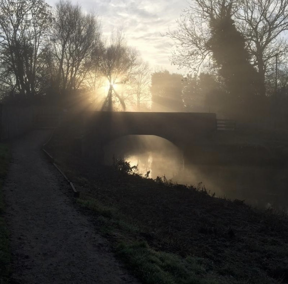 𝑹𝒊𝒗𝒆𝒓 𝑭𝒐𝒔𝒔 𝑺𝒐𝒄𝒊𝒆𝒕𝒚 tweet media