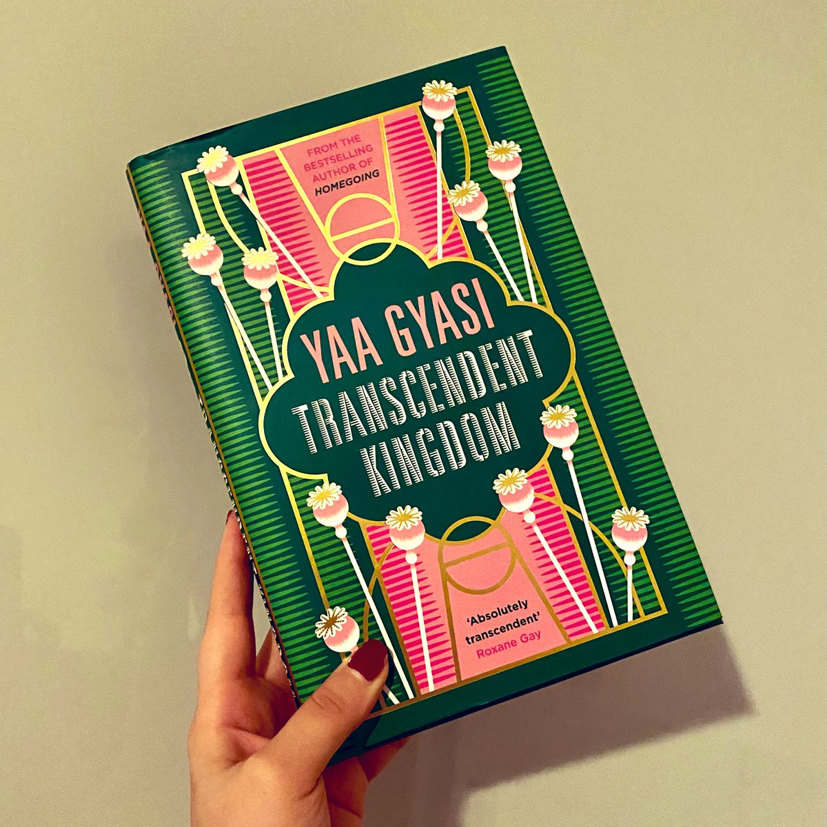 This is just so so wonderful, and I love Yaa Gyasi so so much. #TranscendentKingdom