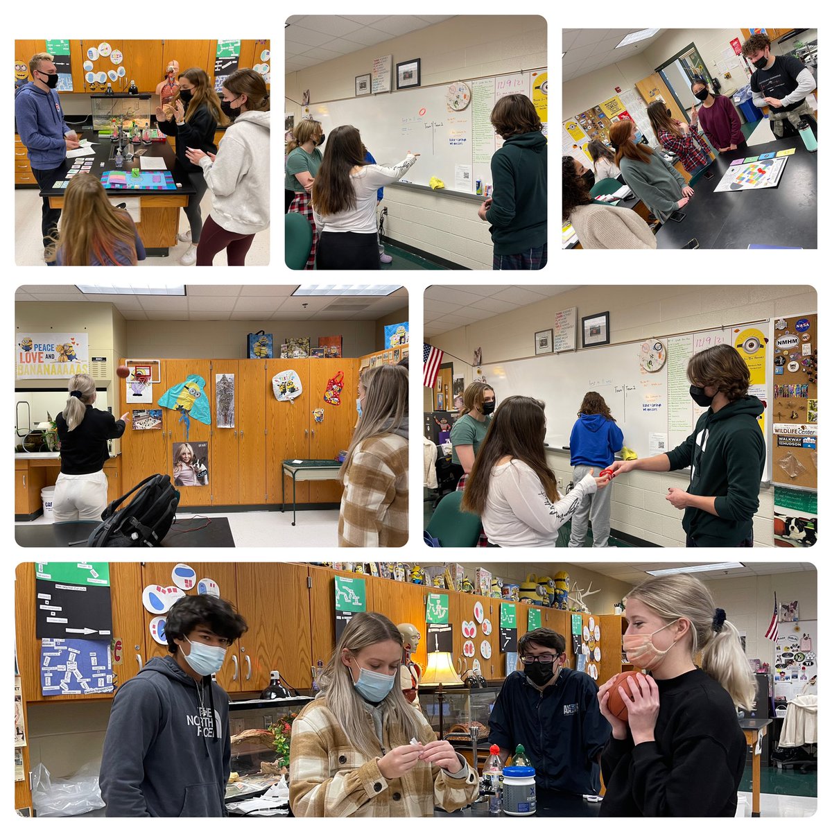 The AP Bio class created games to review our first four units for next week’s midterm. #apbio #midtermreview #reviewgames #lovemystudents <a href="/krcougars/">KRCougars_YB</a> <a href="/KettleRunNews/">Kettle Run HS</a>