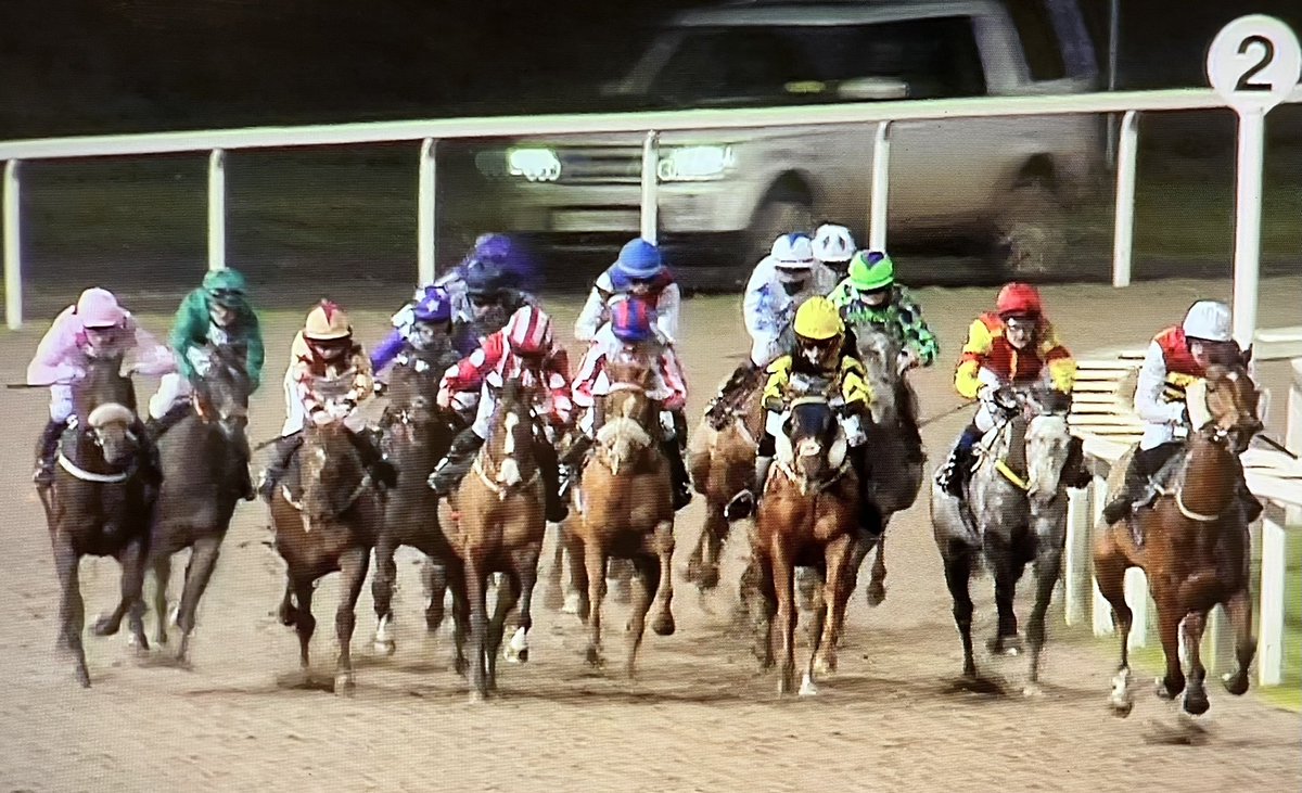 amajox's tweet photo. Congrats #champ @amajox @RossBirkett WINS @ChelmsfordCRC #Engrave @JuliaFeilden #15ran #topride #topjock denies #SimonWalker #head #whatafinish ๐๐๐ฅ๐๐ฅ https://t.co/lcxtyKUWGN