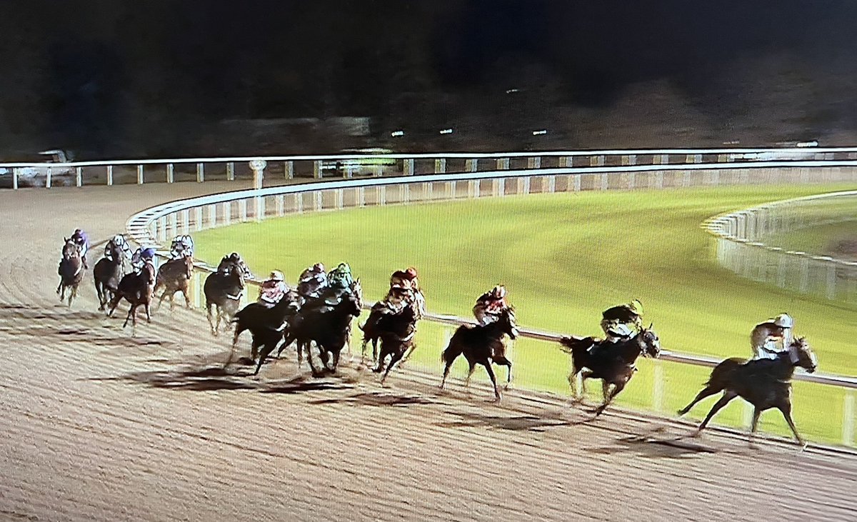 amajox's tweet photo. Congrats #champ @amajox @RossBirkett WINS @ChelmsfordCRC #Engrave @JuliaFeilden #15ran #topride #topjock denies #SimonWalker #head #whatafinish ๐๐๐ฅ๐๐ฅ https://t.co/lcxtyKUWGN