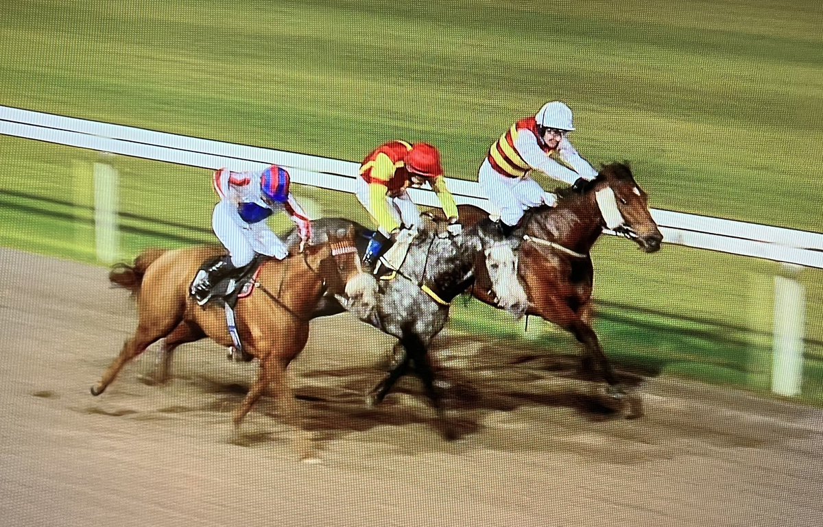 amajox's tweet photo. Congrats #champ @amajox @RossBirkett WINS @ChelmsfordCRC #Engrave @JuliaFeilden #15ran #topride #topjock denies #SimonWalker #head #whatafinish ๐๐๐ฅ๐๐ฅ https://t.co/lcxtyKUWGN