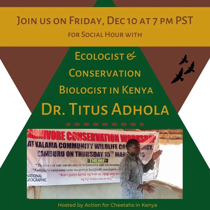 Action for Cheetahs in Kenya tweet media