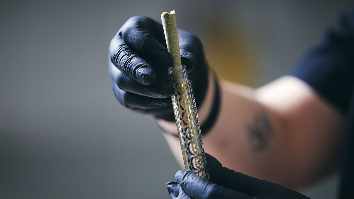 Not all that glimmers is gold. But all that’s Gold, glimmers.

#TheHighest #goldkine #oneofakine #mmmp #cannabis #cannabiscommunity #thc #weed #hightimes #marijuana #weedporn #cannabisculture