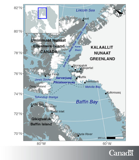 FishOceansCAN's tweet photo. #Polynyas are areas of open water surrounded by sea ice. One of the world’s largest, the North Water (Sarvarjuaq in Inuktitut, or Pikialasorsuaq in Greenlandic), is one of the most biologically important areas in the Arctic. https://t.co/k5NTdcu21Y https://t.co/alIc256JcY