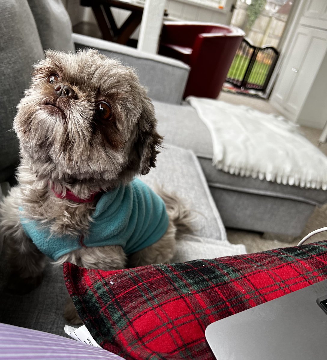 My co-workers just show up unannounced and won’t leave my office until they ready.