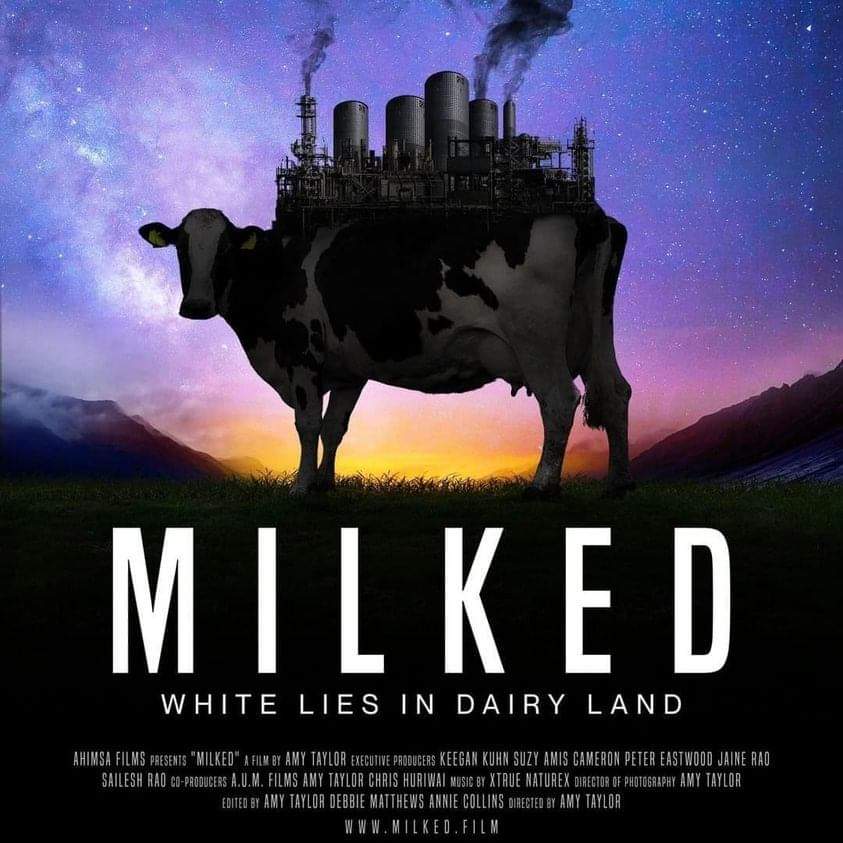 vegannutrition1's tweet image. Coming soon. Find the trailer at milked.film