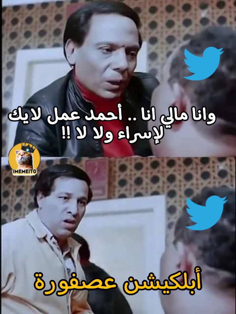 عصفورة تويتر دا