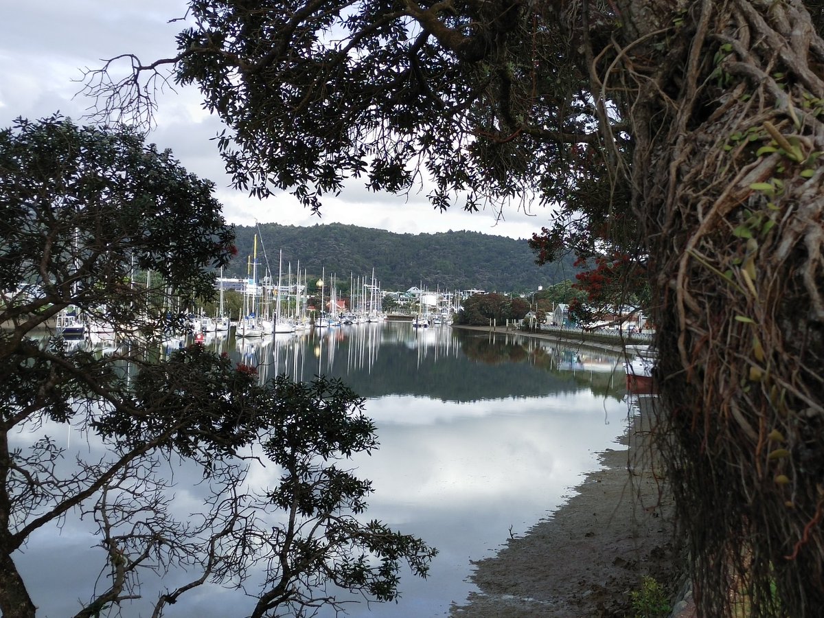 Climb more. Give in to your inner child and climb a tree occasionally. Doing so this morning gave me a magic moment above the Hatea river in my hometown #whangarei