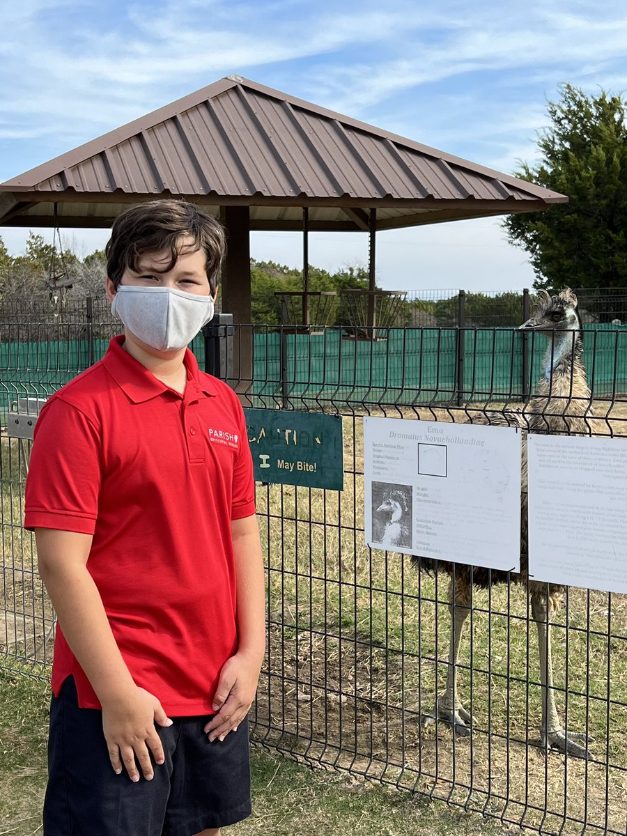 michele mclendon tweet media