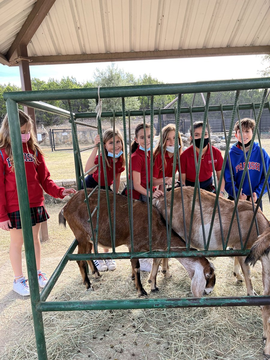 michele mclendon tweet media