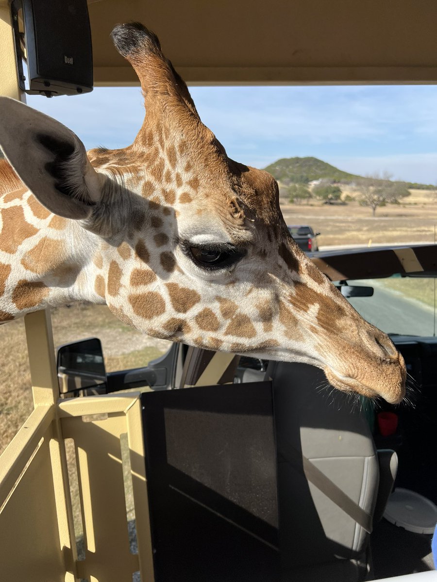 michele mclendon tweet media