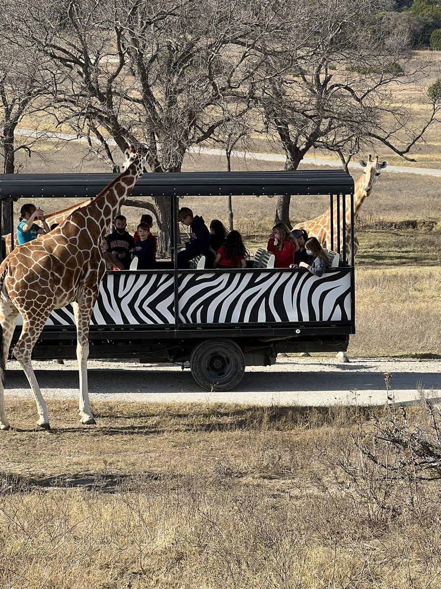 michele mclendon tweet media