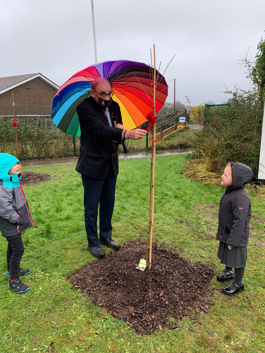 Pennardprimary's tweet photo. So lovely to welcome Brian Arthur from the Royal British Legion to school today to unveil our remembrance trees that we bought from their kind donation! #penncomm https://t.co/CgkD8qu7qH