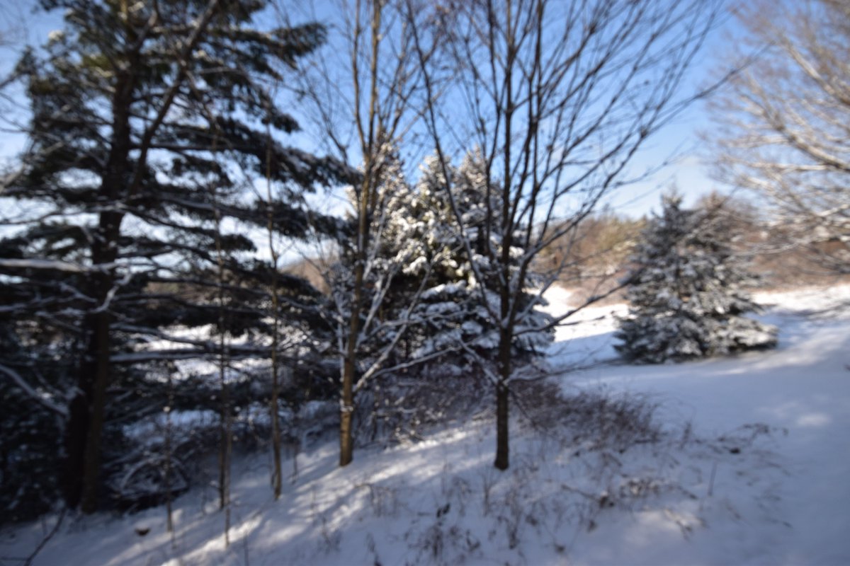 Winter wonderland!