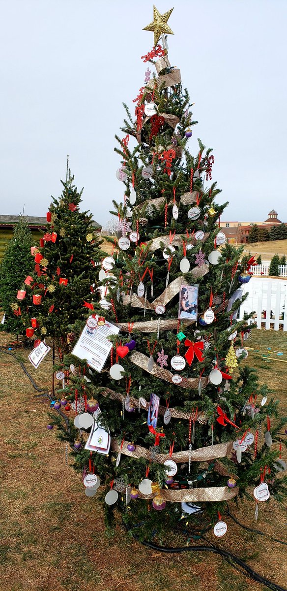 OneEarOut's tweet image. Check out our #OneEarOut Christmas tree at Thornton #WinterFest on Friday from 6:30pm-9pm &amp;amp; Saturday from 10am-9pm. Take home one of our ornaments to help raise awareness &amp;amp; vote for our tree in the contest. #TuneInToLife @CityofThornton @ThorntonPolice
