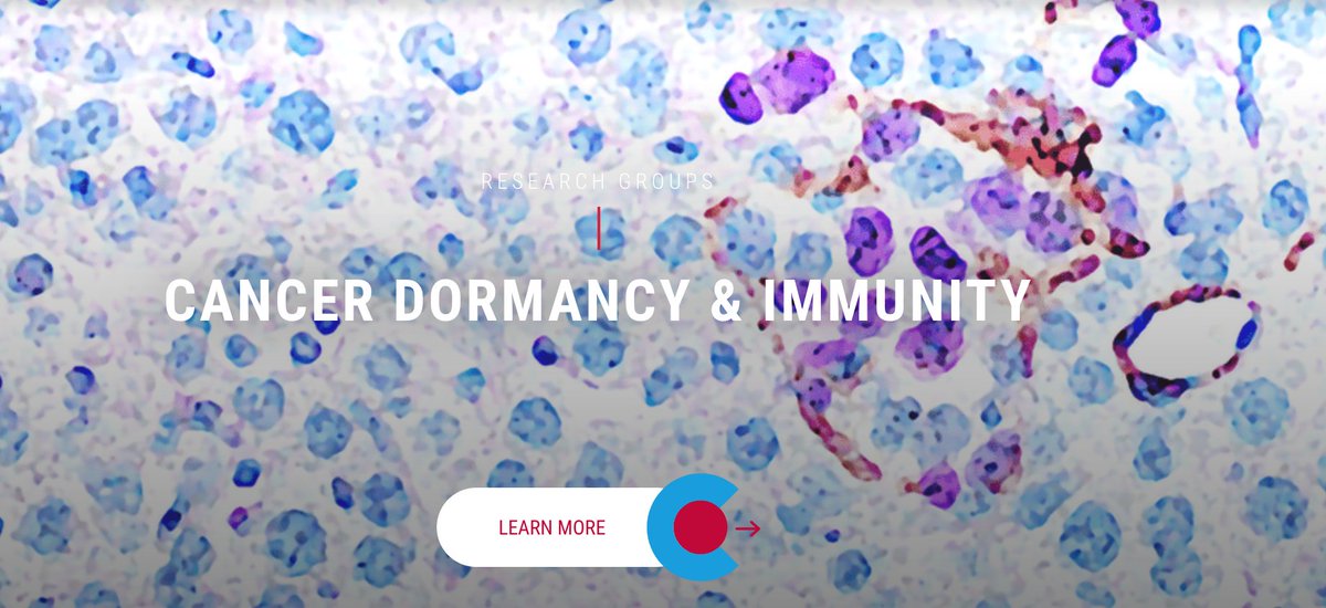 alpcorreia's tweet photo. Really excited to announce that I am joining the @ChampalimaudF and @Neuro_CF as a Group Leader!

The Correia_Lab will study #CancerDormancy and #Immunity in beautiful #Lisbon. We will be recruiting soon - Get in touch if you're interested.

Read about us: https://t.co/WPanilBP7q https://t.co/kxlEoQaKcj