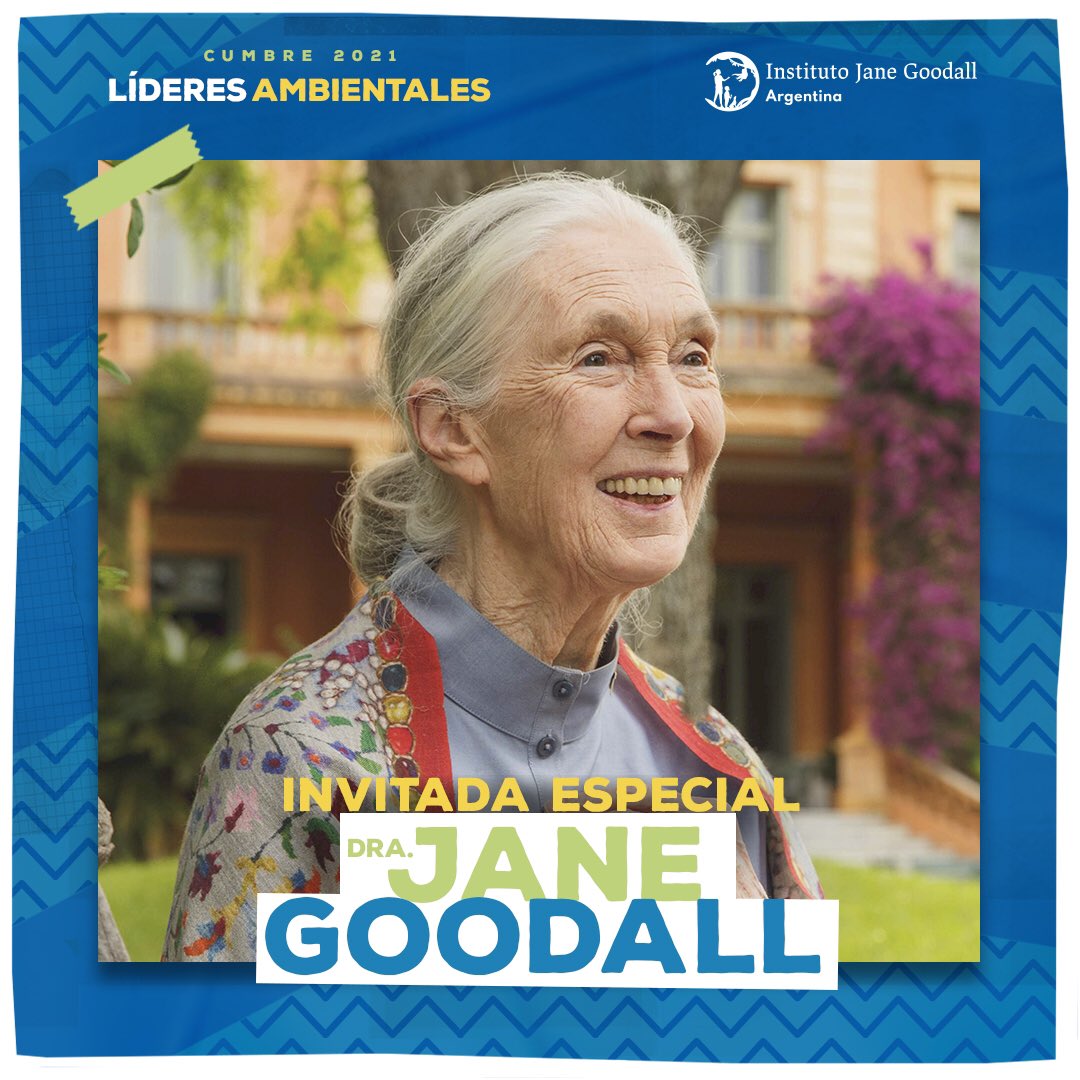 Jane Goodall Arg tweet media