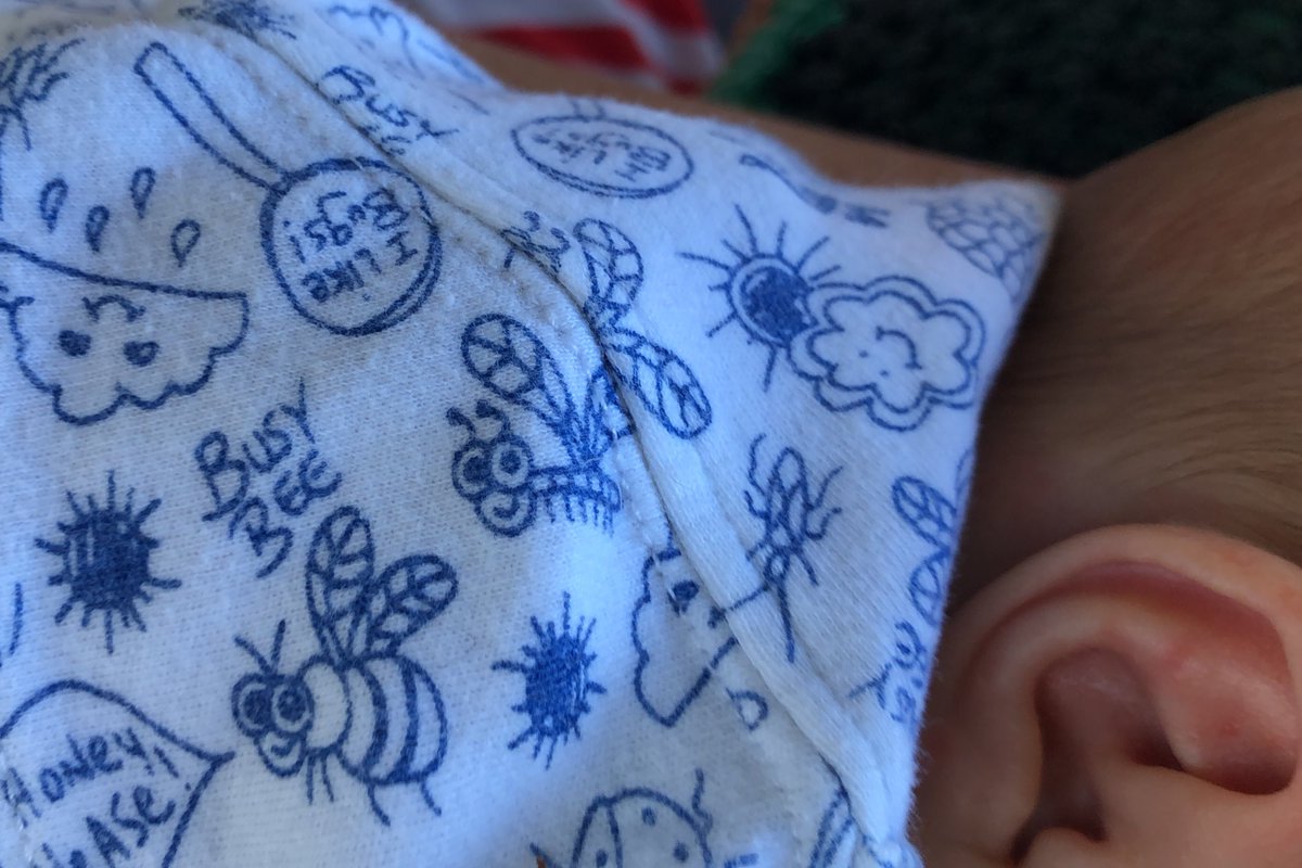 kateumbers's tweet photo. Reading all the media coverage while feeding my infant son and hoping he can still see #bogong moths in the #austalps when he grows up. https://t.co/ua86Bq8uNE