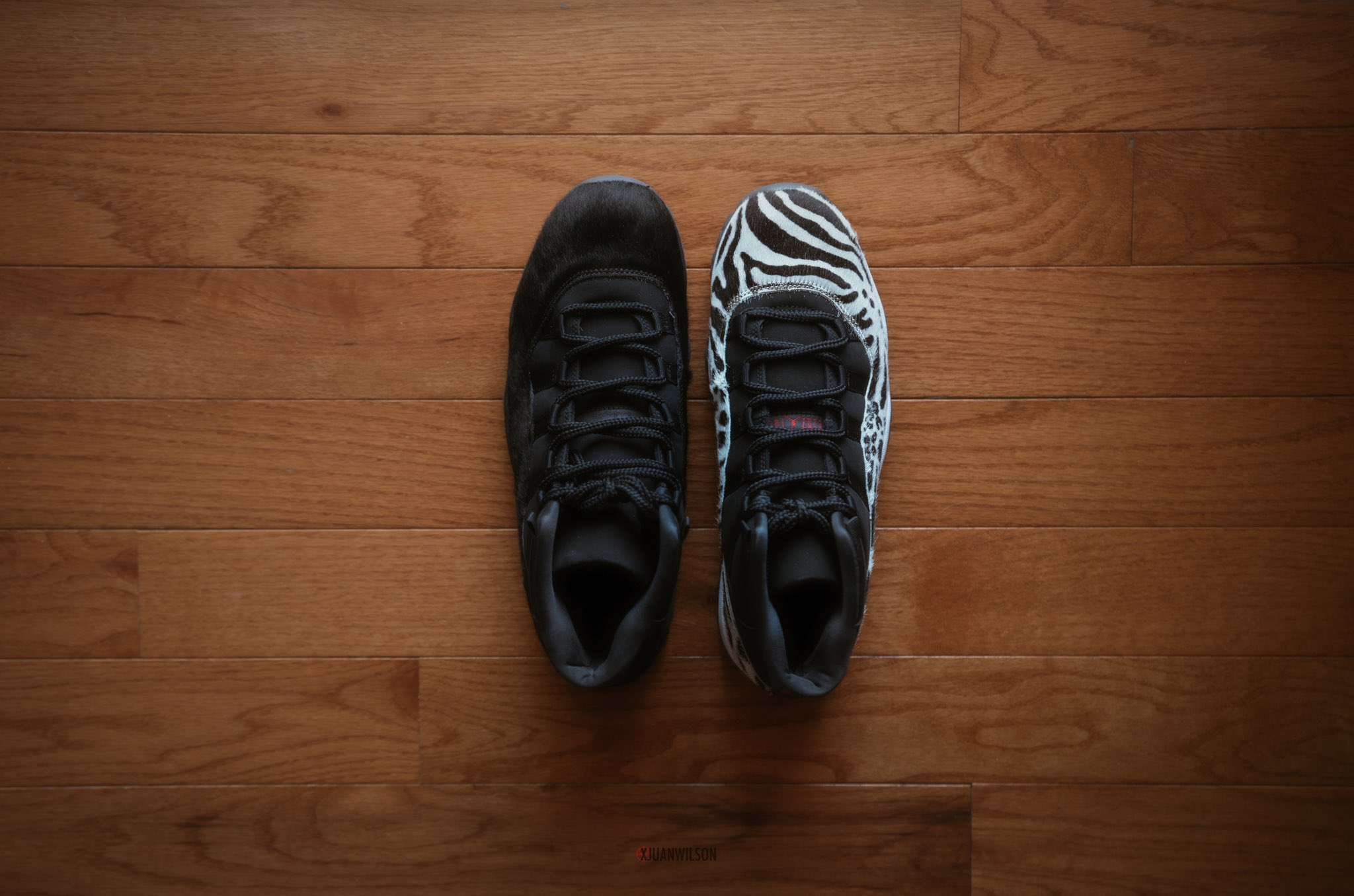 Black top cat 11s