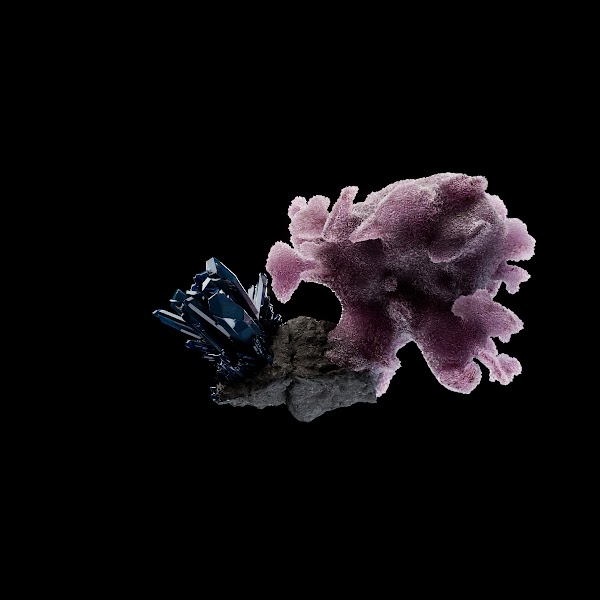 clifton.eth (💜,🔮) tweet media