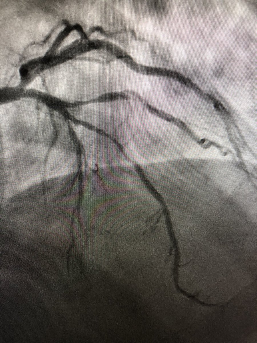 Richard Sohn MD tweet media