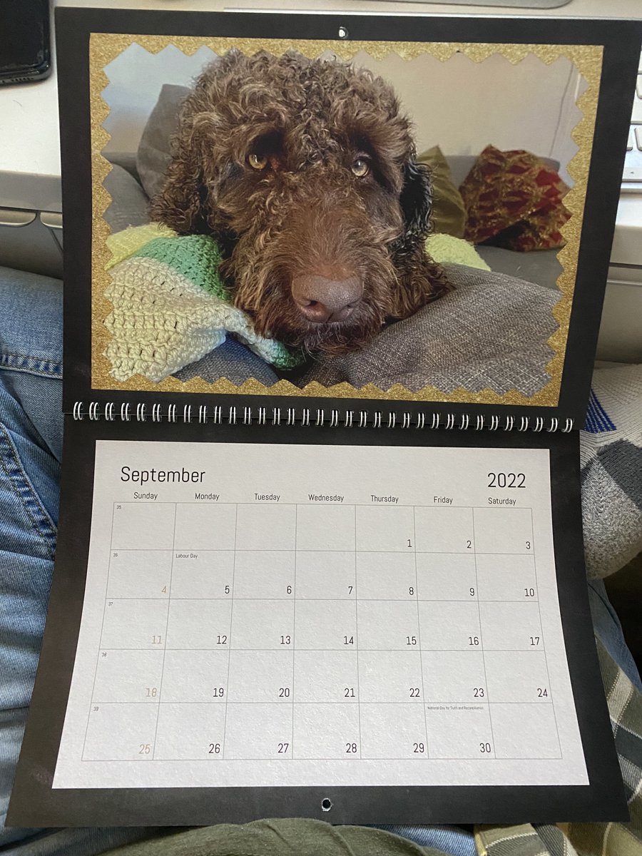 CBC Ottawa Traffic (@cbcotttraffic) on Twitter photo Today is #CBCProjectGive and I'm doing my own little thing to mark the occasion. Some of you are fond of my co-worker Benny tweets. I made a calendar. I have TWO extra. First two to reply with a doing-something-charitable selfie can have one. <a href="/OttawaMorning/">CBCOttawaMorning</a> <a href="/cbcallinaday/">All in a Day</a> Today is #CBCProjectGive and I'm doing my own little thing to mark the occasion. Some of you are fond of my co-worker Benny tweets. I made a calendar. I have TWO extra. First two to reply with a doing-something-charitable selfie can have one. <a href="/OttawaMorning/">CBCOttawaMorning</a> <a href="/cbcallinaday/">All in a Day</a>