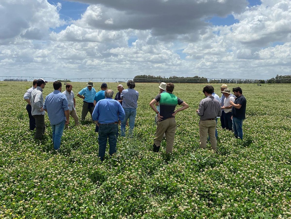 Grupo Trigo Sudoeste visita a lo de Cameron. Gracias Jorge G Montaner y flia Cameron #agricultura #trigo #necochea