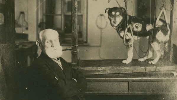 Russia's tweet photo. 🧑‍🔬 #OTD in 1904 Ivan #Pavlov received a Nobel Prize for Physiology or Medicine - first Russian Nobel laureate.

He advanced neurological  &amp; behavioral sciences in a big way. No wonder Pavlovian conditioning is named after, well, Pavlov. That's where behavior therapy stems from. https://t.co/rqfVhQaYHa