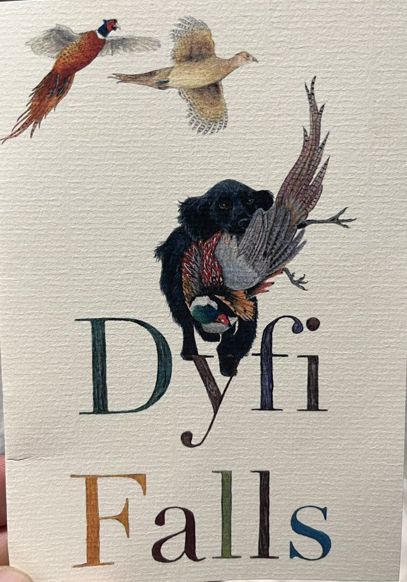 Amazing day , spectacular countryside and birds of the highest order !