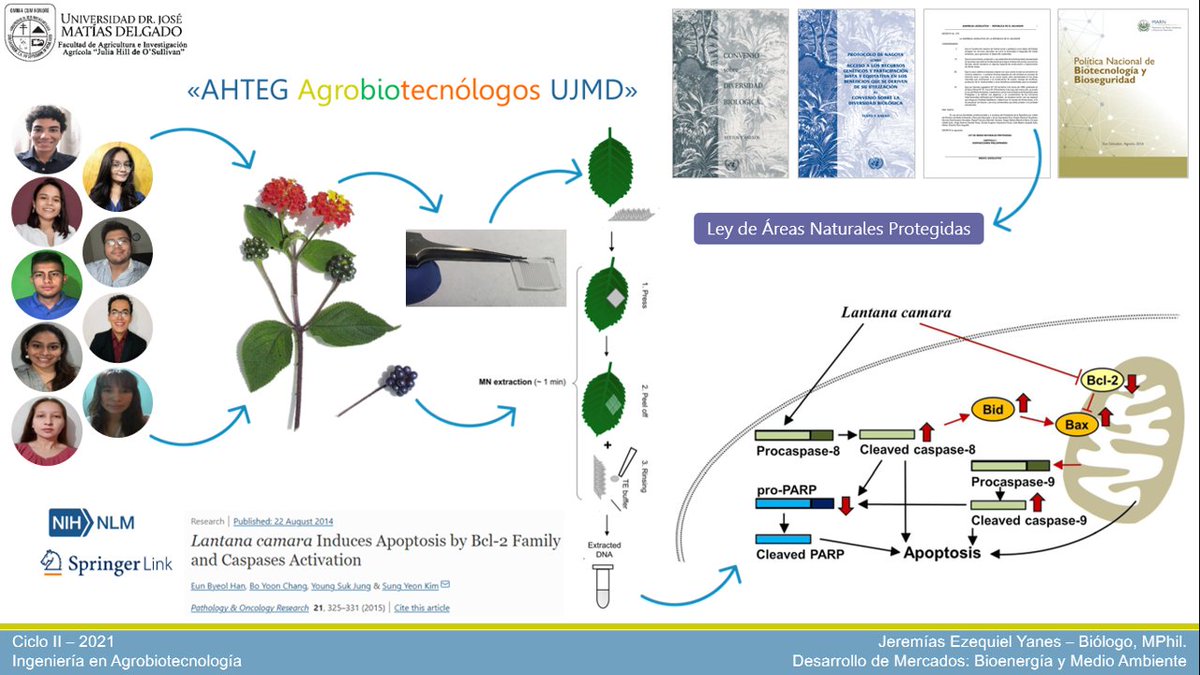 jeremiasyanes's tweet photo. ¿Están listos para integrar el «AHTEG Agrobiotecnólogos UJMD»? @_Mliquez, @GOrtiz__19, @duraan03_, @zairaa_torres, @RafaelCea5, @AliciaH54953660, @Delmy72530328, @AngieRFlores2, @triinrunnefmezA #AgroBiotecnólogosUJMD #Parabellum #DBM0_2021 https://t.co/i6wBidas2g