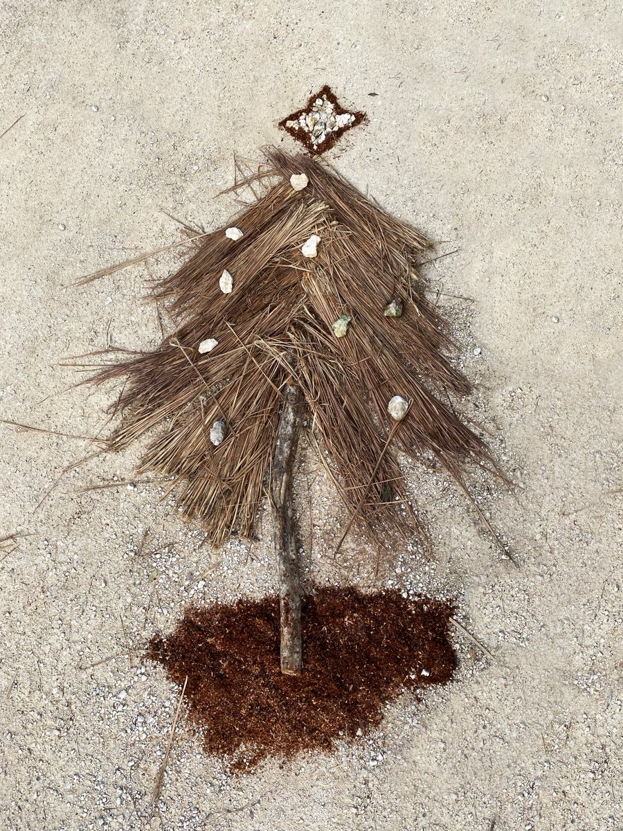 love_tulum's tweet image. Una manera de llevar la navidad a tu casa y de paso cuidar el medio ambiente.
A way to bring Christmas to your home with out harming the environment. #ecodevelopment #ecodevelopments #tulumrealestate #mexicorealestate #tuluminvestments #tulumproject #ecofriendly #desarrollo