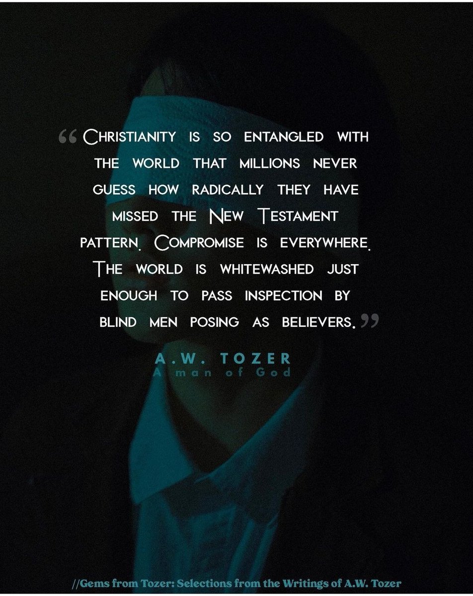 KelliReding's tweet photo. @BethMooreLPM Tozer agrees... https://t.co/uranOBA5Gq