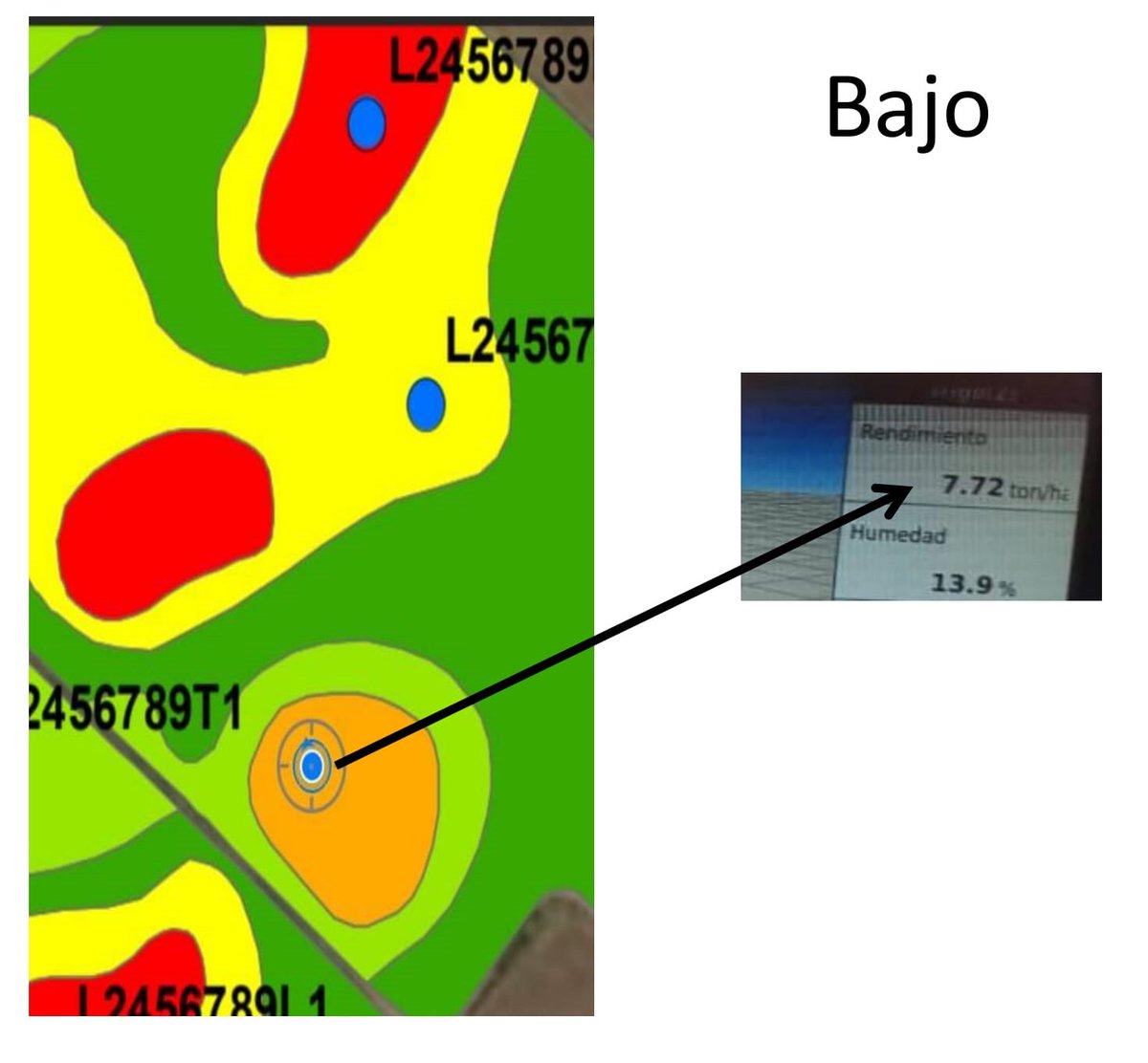 Ezequiel Odello tweet media