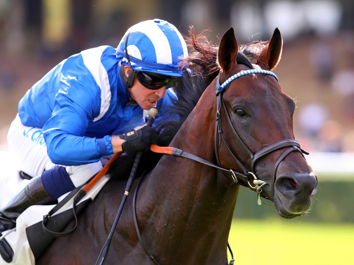 RacehorseOwners's tweet photo. He remains unbeaten! Baaeed stretches his winning run capturing the @CazooUK Outstanding Miler prize for @ShadwellStud #ROAAwards https://t.co/uyPZi6HDCN
