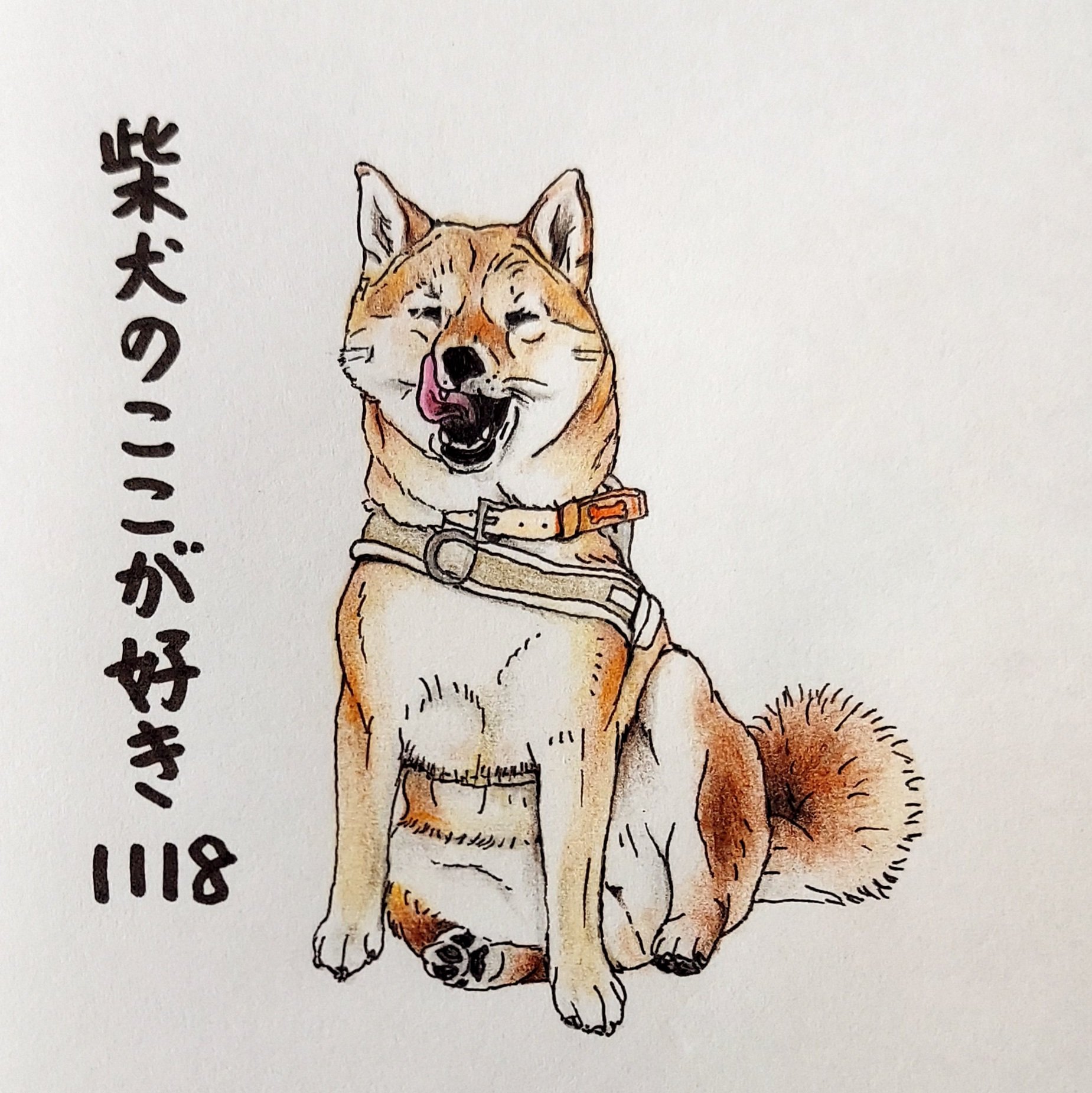 Twitter 上的 ここ柴 映えるところで写真を撮ると その瞬間だけあくびや舌ペロしちゃうとこ さっきまで決め顔やったのに 柴犬のここが好き ここ柴 ここ柴部 柴犬 イラスト 色鉛筆 舌ペロ あくび T Co 2cjmlite37 Twitter Twitter 上的 ここ柴 映えるところで写真を撮ると その瞬間だけあくびや舌ペロしちゃうとこ さっきまで決め顔やったのに 柴犬のここが好き ここ柴 ここ柴部 柴犬 イラスト 色鉛筆 舌ペロ あくび T Co 2cjmlite37 Twitter