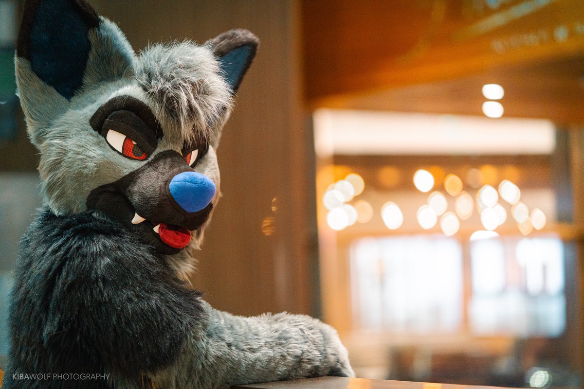 RookaRoo tweet media