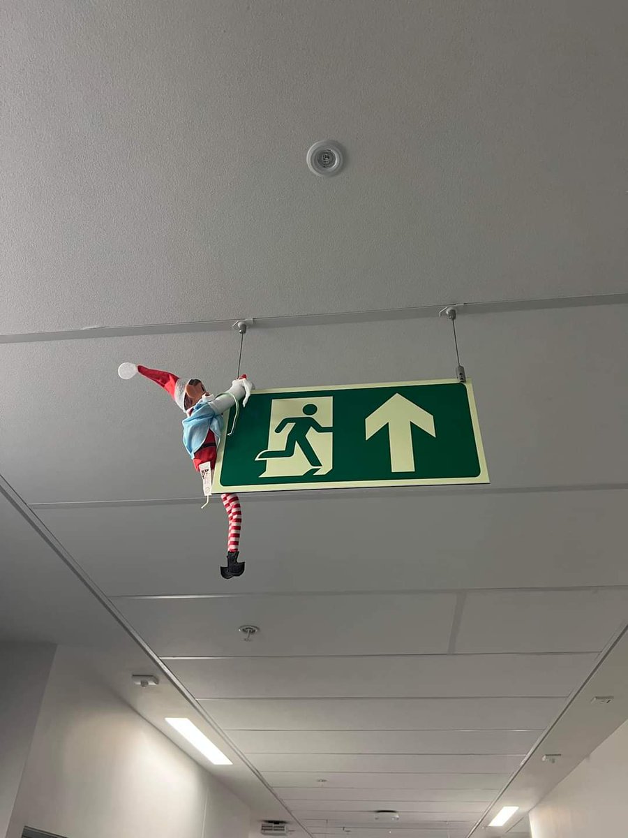 ClaireOrford's tweet photo. Give him his dues he's still trying to escape! #icuelf https://t.co/tllHgVkBaB