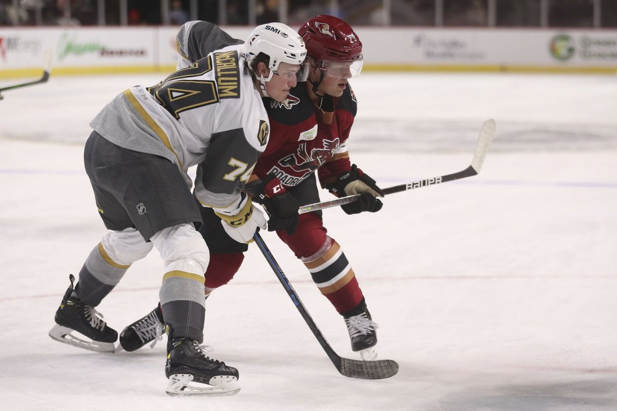 Brandon Wheat Kings tweet media