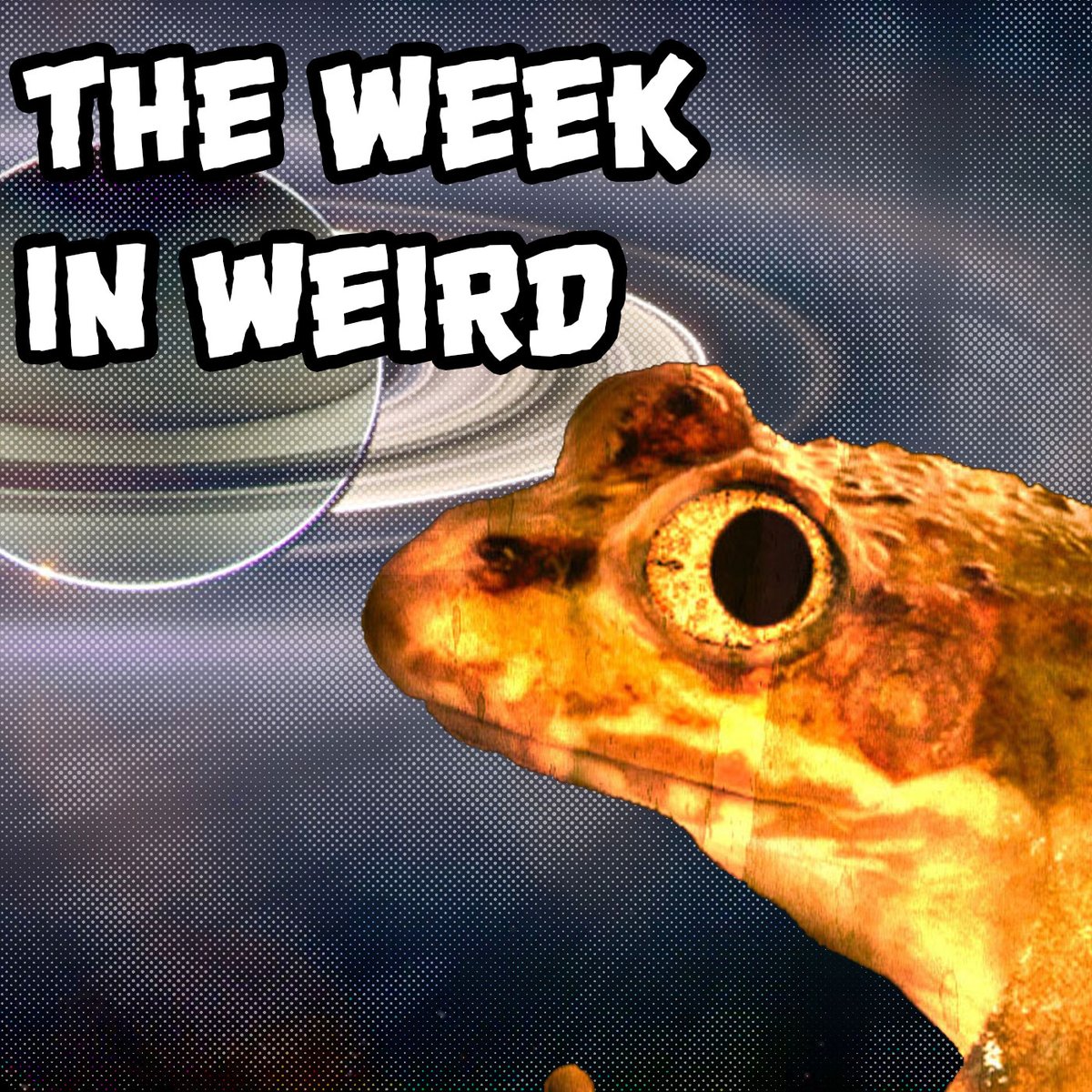 Deviantbradio's tweet photo. Enrique invites you to hear the weirdness from this week. Just don't lick him. He's not poisonous, he just doesn't like it. @supernatpod #SupernaturalSelection #Enriqueknowswhatyoudidlastsummer #WFUC https://t.co/wlsKmizBiV https://t.co/uiORSM5v7X
