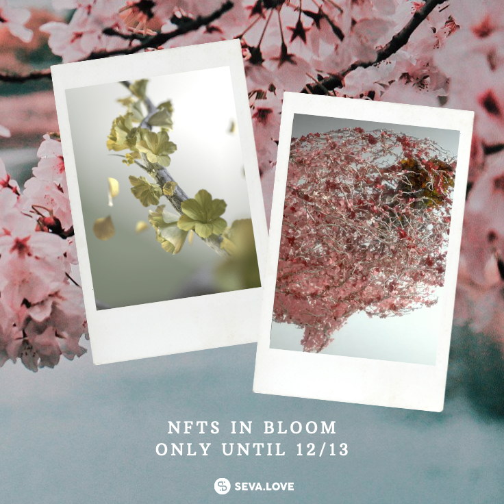 sevaislove's tweet photo. Our #NFTcollection with @SameYouOrg are still in bloom. But only for a limited time!
Pick yours soon https://t.co/4lyjMfVPlo
#NFT #NFTCommunity #sevalove #metaseva #shareyoursameyou #braininjury #Flowers #nftforgood https://t.co/HmdiaBmPus