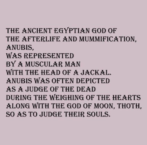 egyptnft.eth tweet media