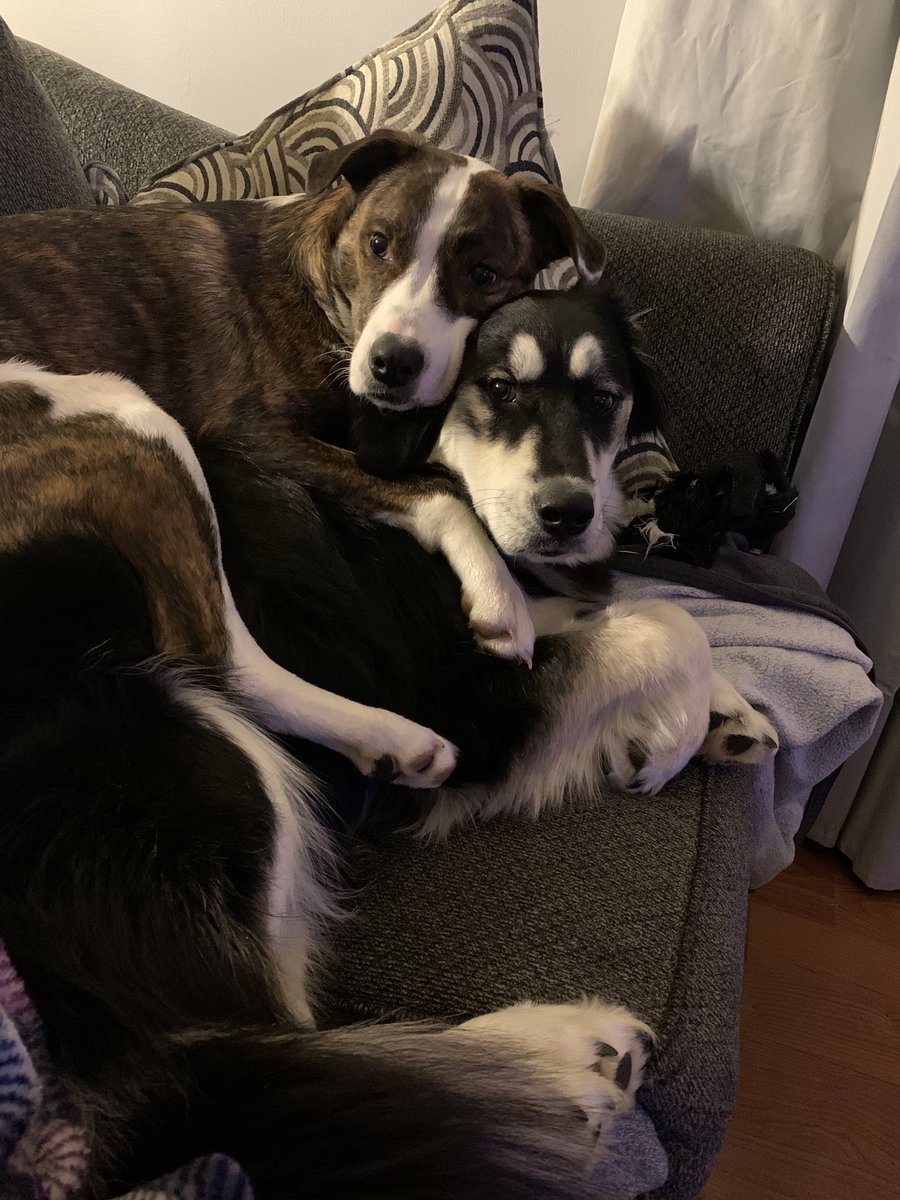 The Dr. Amber Cathey tweet media