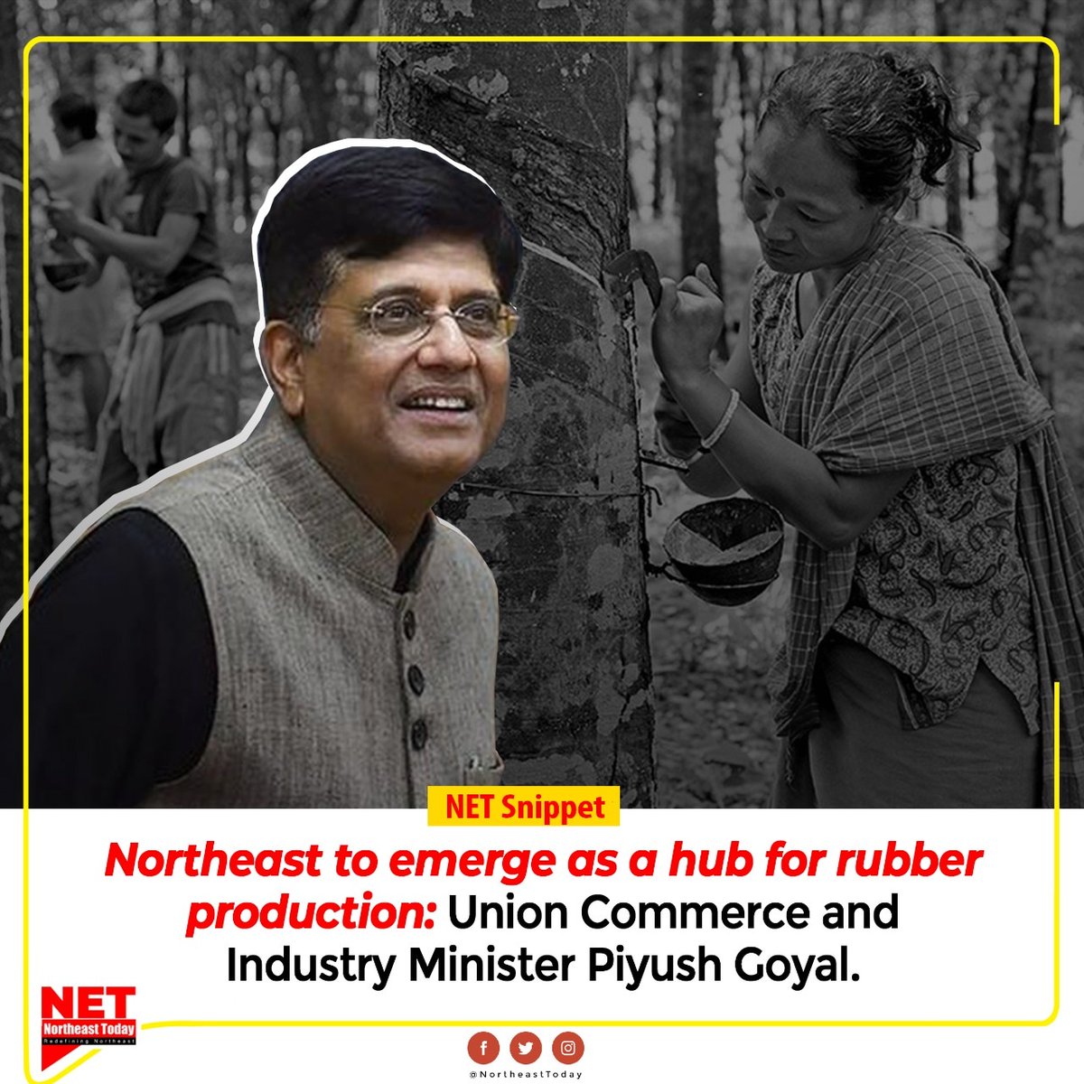 NortheastToday's tweet image. #NETSnippet | The Centre is planning rubber plantations on 2 lakh hectares in the North-Eastern region over the next 5 years helping it emerge as a hub for rubber production, Commerce and Industry Minister Piyush Goyal has said.

@PiyushGoyal

#Rubberproduction #Northeastregion