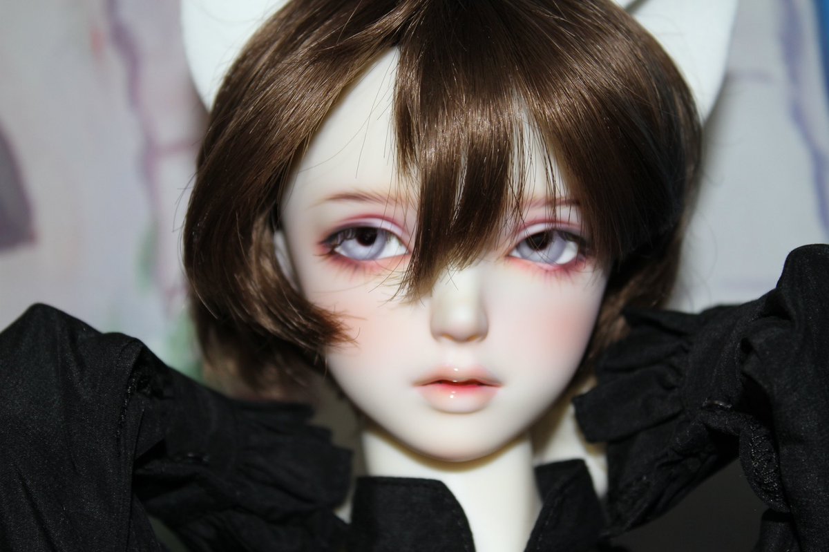 pom_0221's tweet photo. イケメン猫耳プリンス(推し)です·····
お覚悟·····!!!!!!!!!!
#sd_f_84 #sd84 #SDGrB https://t.co/V8jVJkAkYy