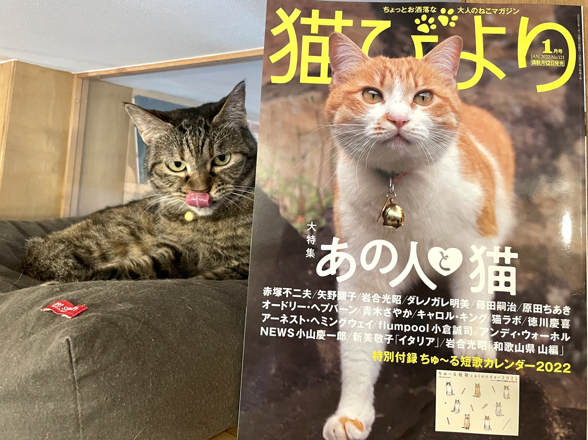 تويتر キャッツミャウブックス على تويتر ちゅ る短歌カレンダー付き 猫びより 22年1月号 は本日発売です 直筆サイン入りは完売しております そして なんとnewsの小山慶一郎さんが仁尾智さんのご自宅に 聖地化するのか うちも何かの聖地になりたいなと