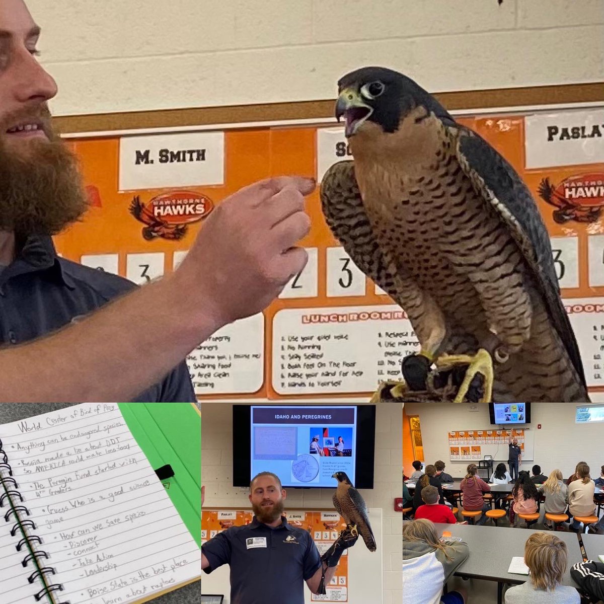 WolfeWanders's tweet photo. Thank you @thecurtisevans for sharing the story with my Ss of bringing the peregrine falcon back from the brink of extinction. @peregrinefund models utilizing mapping, data, and engaging all stakeholders to work together to save endangered species.#ConnectingFurther #Geoinquiry https://t.co/w9nhJgPJNB