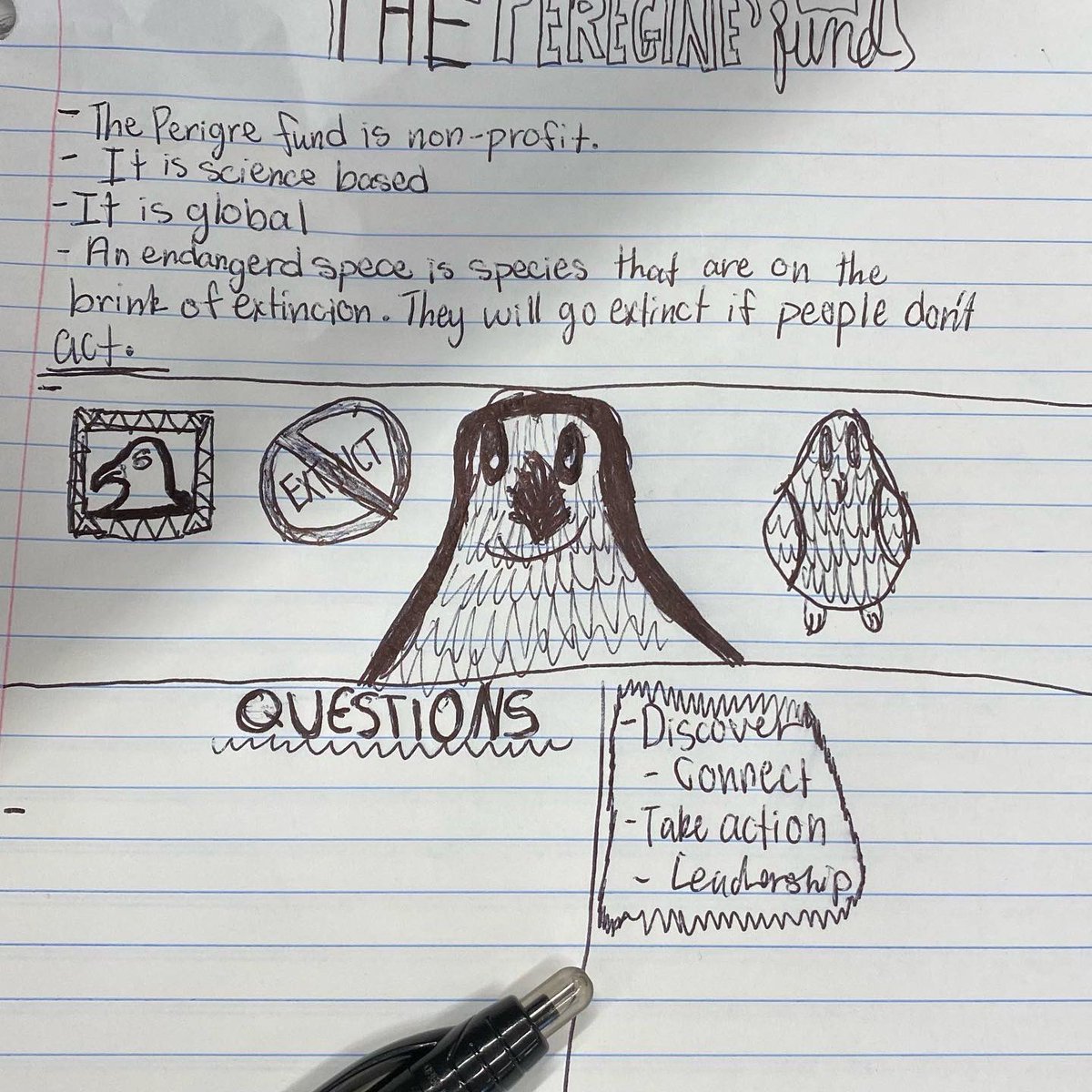 WolfeWanders's tweet photo. Thank you @thecurtisevans for sharing the story with my Ss of bringing the peregrine falcon back from the brink of extinction. @peregrinefund models utilizing mapping, data, and engaging all stakeholders to work together to save endangered species.#ConnectingFurther #Geoinquiry https://t.co/w9nhJgPJNB