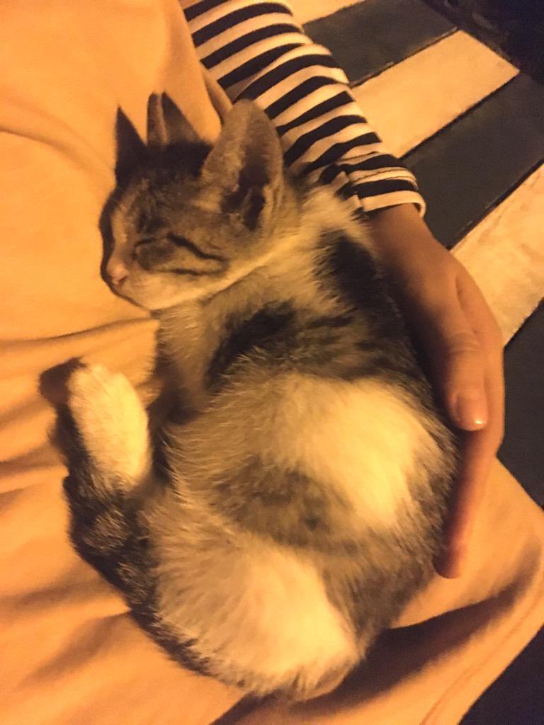 ben sana küsüm aslında haberin yok